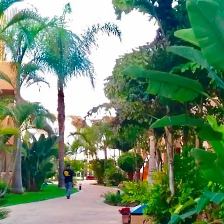 - Alicate Beachfront Apartment- 8