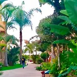 - Alicate Beachfront Apartment- 8