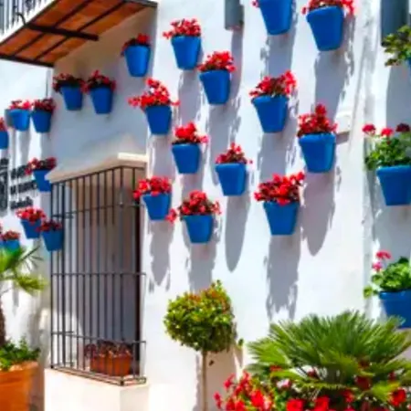 - Alicate Beachfront Apartment- 8 Apartment *