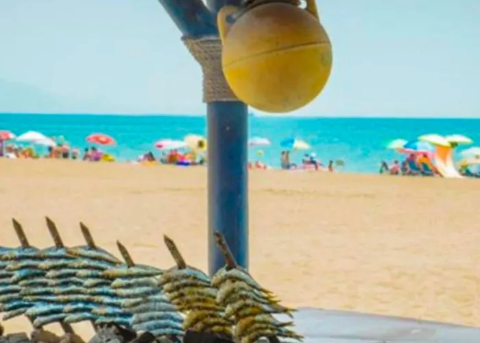 - Alicate Beachfront Apartment- 8 Marbella