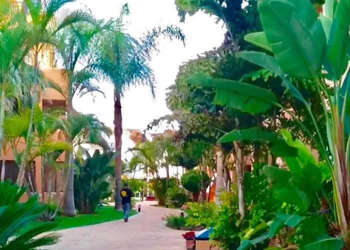 - Alicate Beachfront Apartment- 8